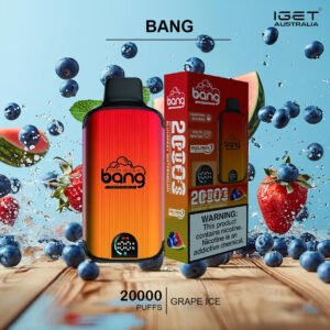 BANG – BLUEBERRY WATERMELON – 20000 PUFFS