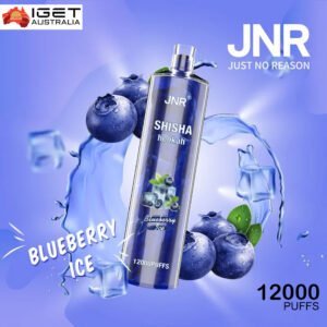 JNR SHISHA HOOKAH – BLUEBERRY ICE   – 12000 PUFFS