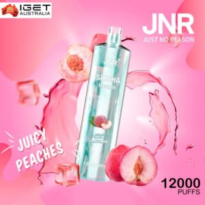 JNR SHISHA HOOKAH – JUICY PEACHES – 12000 PUFFS