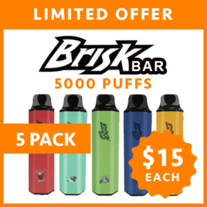 BRISK BAR – 5000 PUFFS – 5 PACK